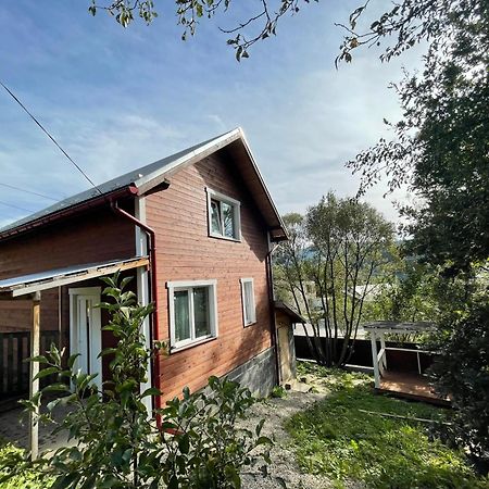 Карпатський Котедж Karpatian Cottage Vorochta Buitenkant foto