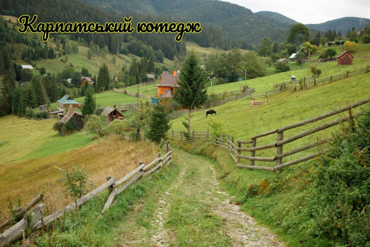 Карпатський Котедж Karpatian Cottage Vorochta Buitenkant foto