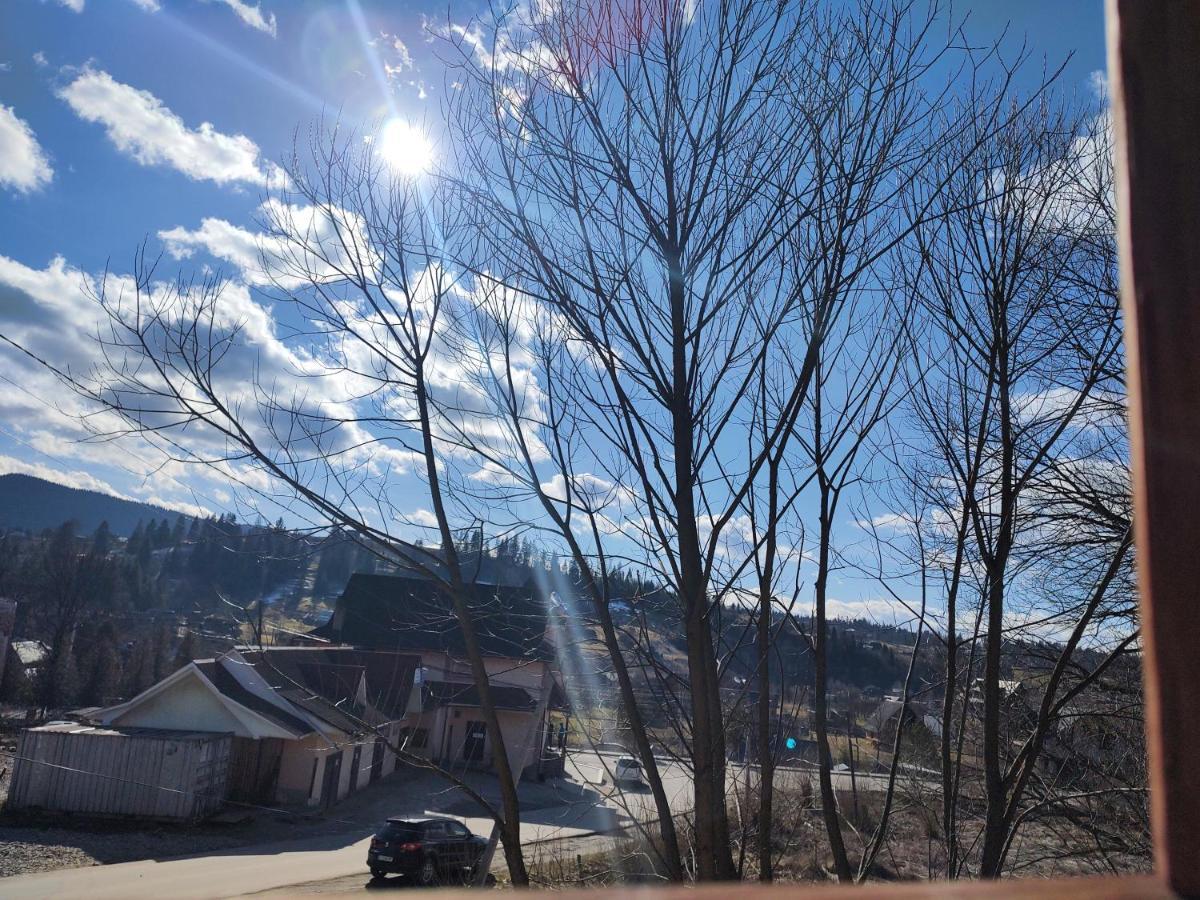 Карпатський Котедж Karpatian Cottage Vorochta Buitenkant foto