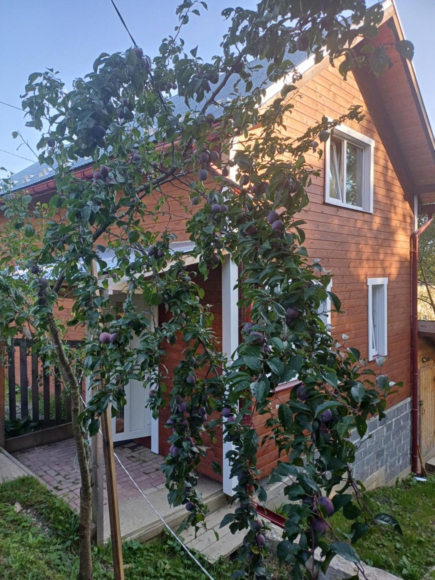 Карпатський Котедж Karpatian Cottage Vorochta Buitenkant foto