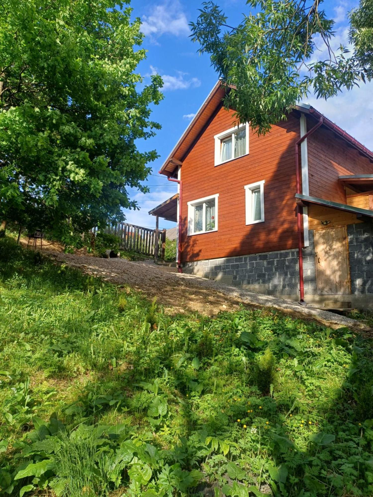 Карпатський Котедж Karpatian Cottage Vorochta Buitenkant foto